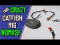 This crazy catfish rig actually catches fish  how to tie the kentuckolina rig