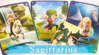 Sagittarius Relationships Sagittarius once you see why they were cold you may feel differently.