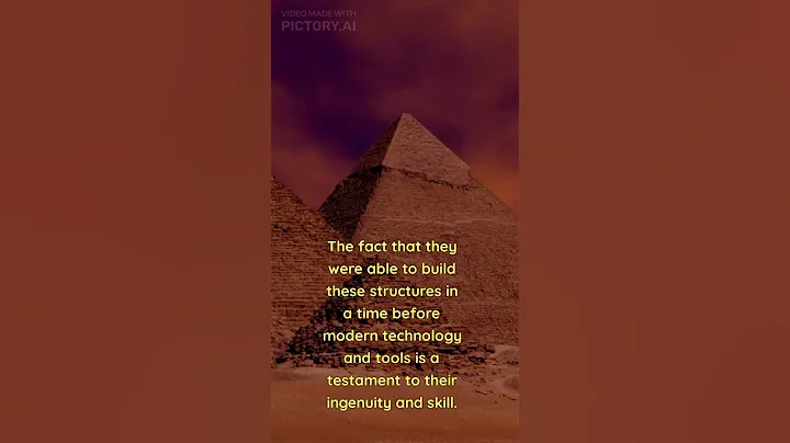 Video 3554261: sphynx explore