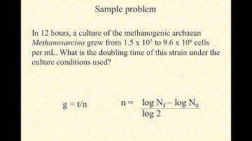 BIO3015 Episode 009: growth kinetics