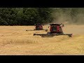 2017 Wheat Harvest Underway In May: Case IH 8240 Combines