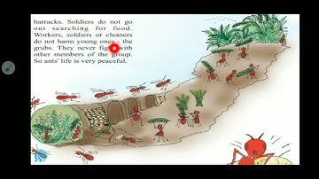 Std-7 English Unit-5 Me Too!(Activity-2)ME AND MY FAMILY