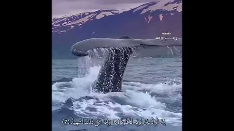 سورة العاديات مع اجمل صوت