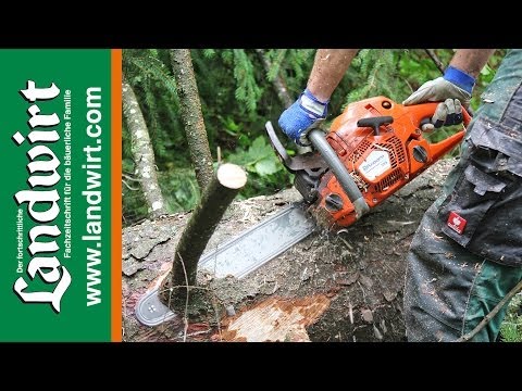 Stihl ms 241 vs husqvarna