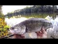 Crazy Overnight Fishing in Ancient English Estate Lake