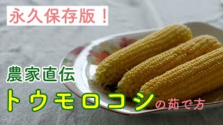 【永久保存版】トウモロコシ農家が教えるトウモロコシの茹で方【vlog暮らし/田舎暮らし】