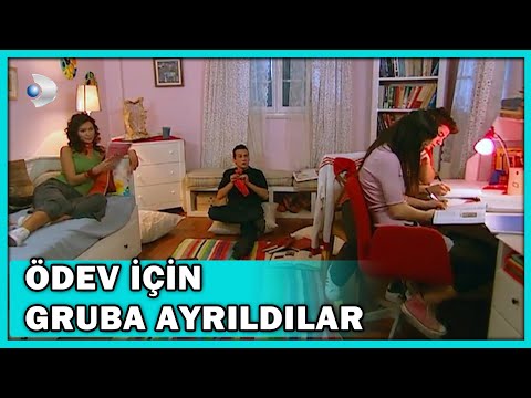 Tarih Ödevi için Gruplara Ayrıldılar! - Acemi Cadı 39.Bölüm