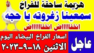اسعار الفراخ البيضاء اليوم / سعر الفراخ البيضاء اليوم الاثنين 18-9-2023 في مصر