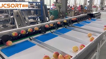 JC SORT Pomegranate Weight Grading Machine