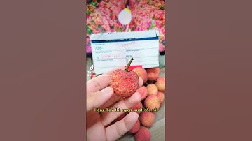 Vải thiều Bắc Giang #vaithieu #vaithieubacgiang #vaithieulucngan #thucphamhanoi #traicayvietnam