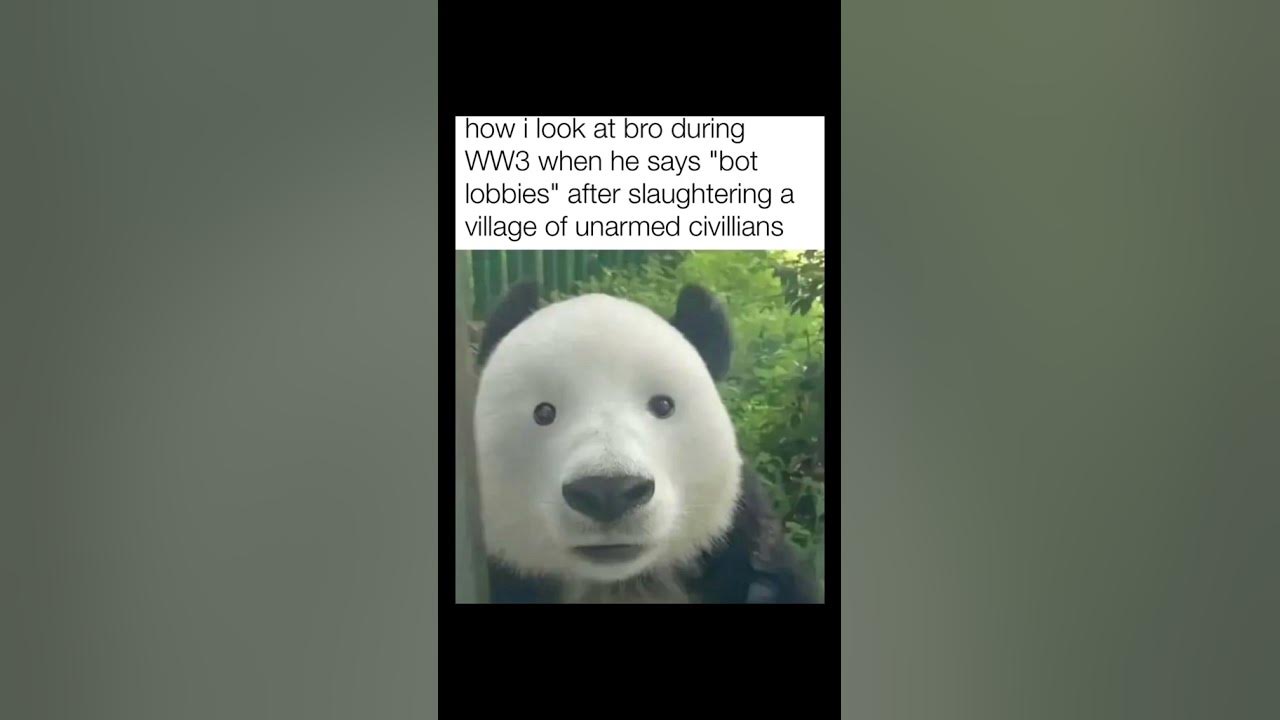 How i look at bro during ww3 when he says bot lobbies after