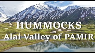 What are Hummock deposits in Alai Valley, Pamir, Kyrgyzstan Part 1: surge glaciers, geology, origin
