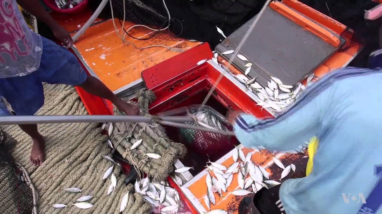 Abuses Persist in Thailand’s Fishing Industry