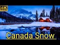 Canada snow 4k ultrar 60fps