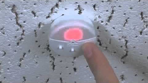 Radio Powr Savr Daylight Sensor  How to Link & Calibrate to a Maestro Wireless Dimmer