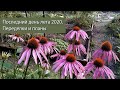 Последний день лета 2020