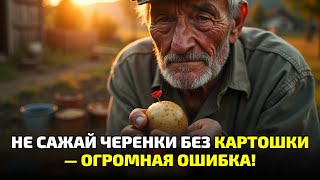 видео: Обычная картошка заменяет теплицу?! Два способа, о которых молчат даже садоводы! картинка: Обычная картошка заменяет теплицу?! Два способа, о которых молчат даже садоводы!