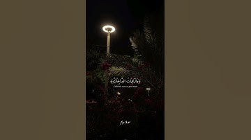 {القران الكريم ❤️ 🦋 #ويزيد الله الذين اهتدوا هدى# |عبد الرحمن مسعد🌿