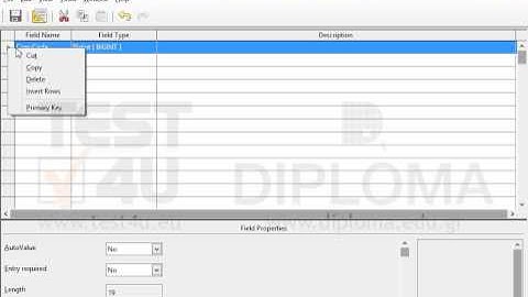 Create a new table displaying the following fields :  1st field: name: CopyCode, data type:...