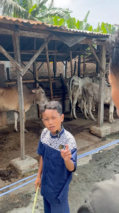 Cuan sapi kurban 💸 #ombobguys #shorts #trending #comedy