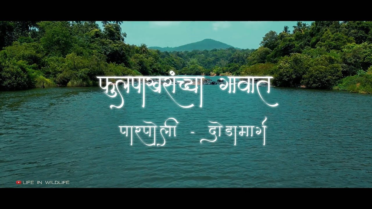 फुलपाखरांच्या गावात | परपोली आणि दोडामार्ग | Butterfly Village | Parpoli & Dodamarg | 