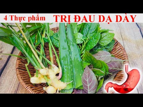 Video 4 Thực phẩm LÀM LÀNH ĐAU DẠ DÀY - VIÊM LOÉT DẠ DÀY -... - youtube
