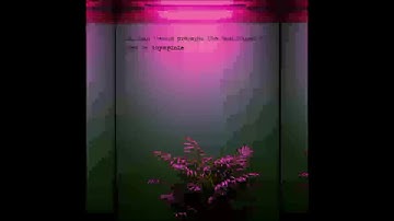 The Resistance Vol. I Mixed By Asymptote (Part 1 & 2) [TR001]