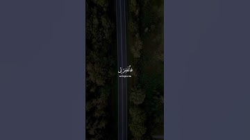 سورة القصص بصوت عبدالباسط عبدالصمد القران الكريم