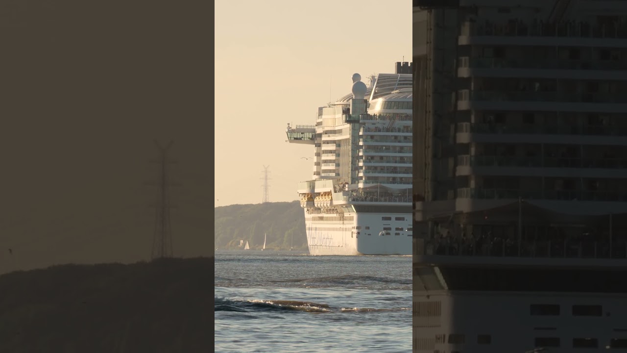 Pilot Boat, Seagulls & AIDAprima Sailing Away 🚤🚢 | Hamburg 25.09.2026