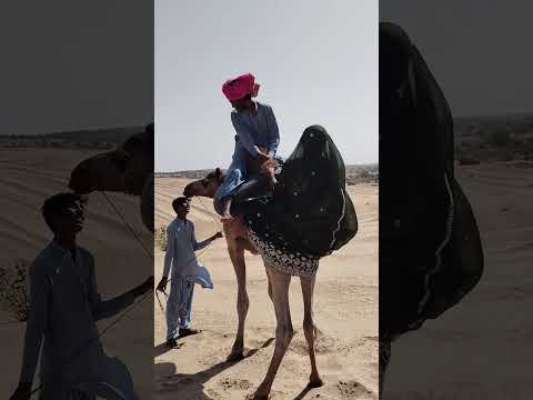 لا أثر لضحكة ولا صدى لنداءأكانت نشوة أم حكاية لم تقال