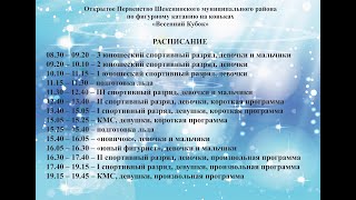 Первенство Шекснинского муниципального района по фигурному катанию на коньках Весенний Кубок 