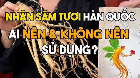 NHÂN SÂM TƯƠI HÀN QUỐC-AI KHÔNG NÊN SỬ DỤNG ? - SÂM HÀN QUỐC ÔNG LEE-Thanh Thanh