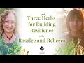 3 herbs for resilience with rebecca altman  soft and cozy tea recipe