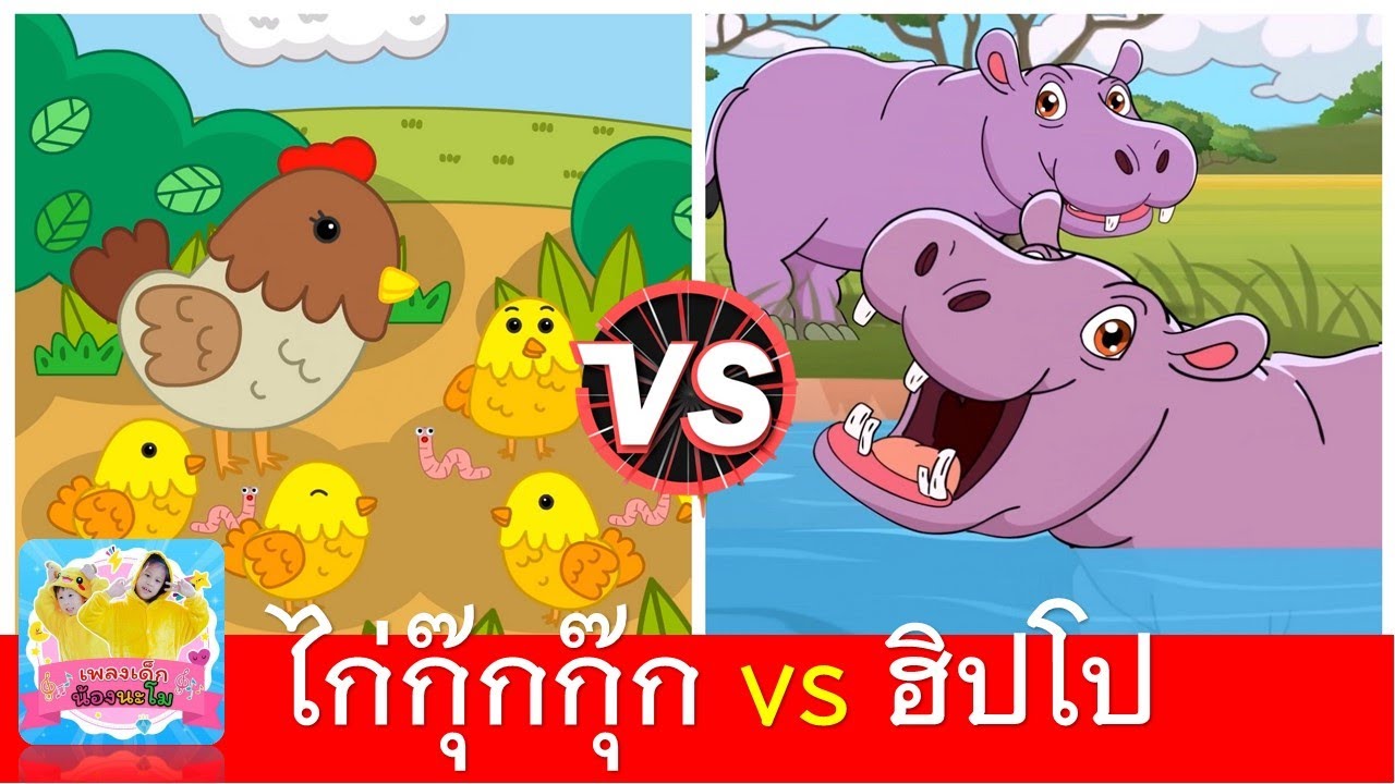 ไก่กุ๊กกุ๊ก vs ฮิปโป
