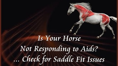 Is Your Horse Not Responding to Your Aids? Check for Saddle Fit Issues.  by Jochen Schleese