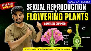 Class 12 Biology Chapter 2 | Sexual Reproduction in Flowering Plants हिंदी माध्यम | Bihar Inter 2027