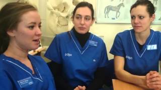 PDSA Veterinary Graduate Programme