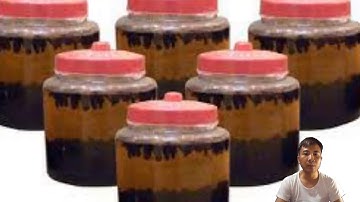 Con bổ củi - Con bổ củi ngâm rượu Thần dược cho quý ông và quý bà