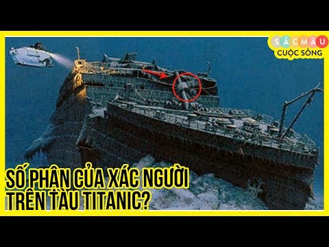 Video: Cách Con Tàu Titanic Gặp Nạn