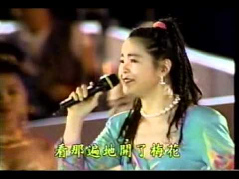 梅花.AVI