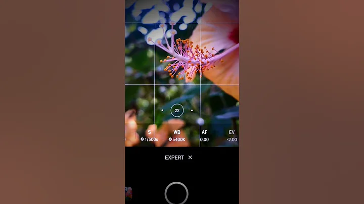 Creative Photography Tips and Trick with Phone using pro Mode | #viral #tranding #shorts #shortfeed
