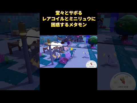 堂々とサボるポケモンに動揺が隠せないメタモン #ぽこあポケモン  #ポケモン