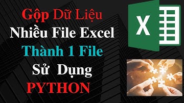 Cách Gộp Nhiều File Excel Vào Một File Duy Nhất Sử Dụng Python P2