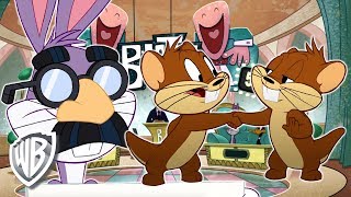 Looney Tunes em Português | O Programa de Perguntas e Respostas de Melhores Amigos | WB Kids screenshot 4