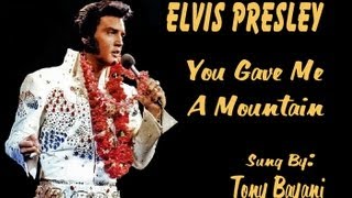 Elvis Presley - You Gave Me A Mountain - cover Tony Bayani
