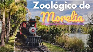 !!  CONOCE el Zoológico de Morelia !!