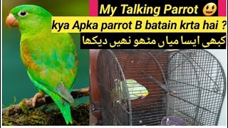 My Talking parrot | strange parrot | bolny wala Tota