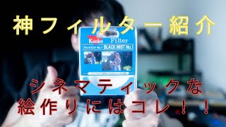 【フィルター沼へようこそ。】Kenko BLACK MISTレビュー