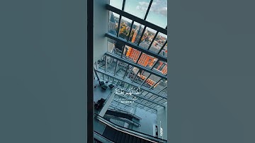 سورة الأنعام الآية 44 | محمد الجوعي #quran #قرآن #سورة_الأنعام #هولندا #netherlands #اكسبلور