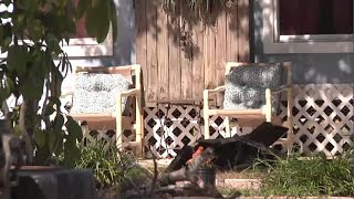 Child escapes attempted kidnapping in Ormond Beach